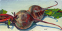 19.	Beets 1 (from life), oil on masonite, 4” x 8”, © 2007